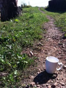 Coffee to go