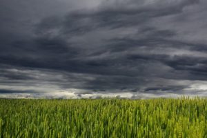 Wie soll ich das alles schaffen? Von den unmöglichen Herausforderungen an uns Mütter – Gastbeitrag von Helen