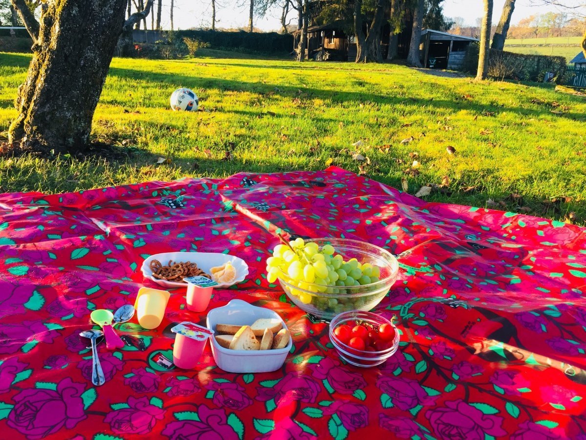 fruchtzwerge picknick