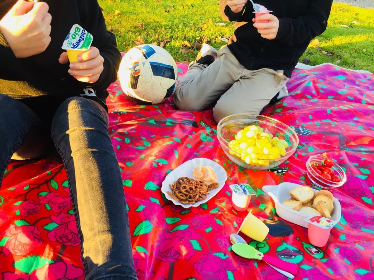fruchtzwerge picknickdecke
