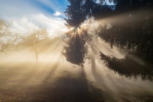 Freude und Trauer: Nach unserem Spätabbruch haben wir noch ein Kind bekommen