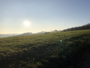 In eigener Sache: Wir haben heute leider keinen (üblichen) Beitrag für euch