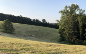 Sommerferien in Corona-Zeiten: Die Ruhe nach dem Sturm