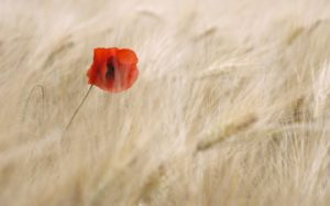 Rare Disease Day: Plötzlich hatten wir ein schwer chronisch krankes Kind