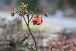 Suizid: Als ich mich trennte, nahm sich mein Mann das Leben