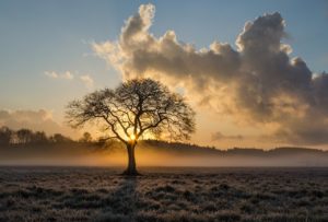 Ich wuchs im Kinderheim auf – soll ich meine leiblichen Eltern suchen?