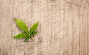 Legalisierung von Cannabis: Das halte ich als Ex-Kifferin davon