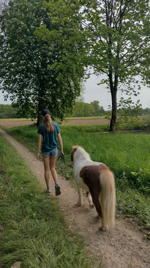 Tumor im Rücken