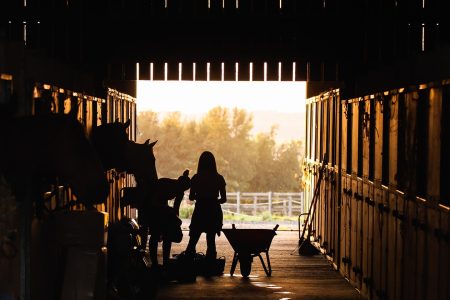 Landliebe: Annemarie Paulsen hat 4 Kinder und ist Landwirtin