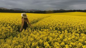 Sommerferien: Wer ist noch froh, wenn sie vorbei sind?